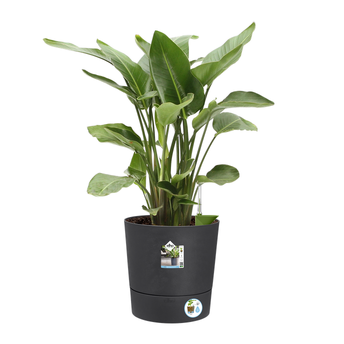 greensense aqua care round 43cm charcoal grey